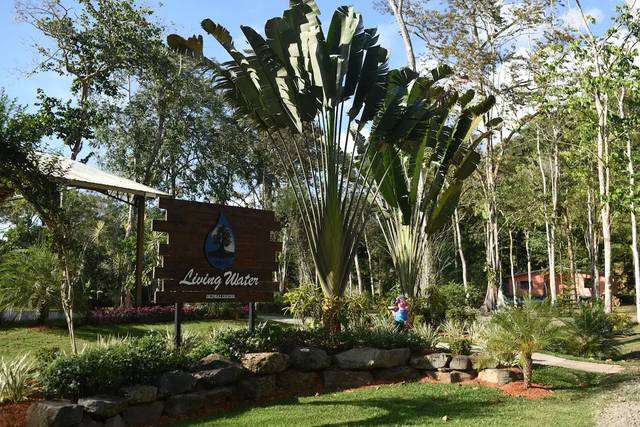 Letrero de Living Water entre plantas y árboles